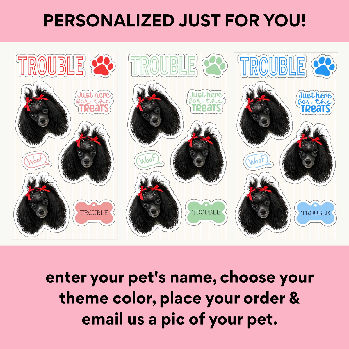 Custom Pet Sticker Sheet- Classic Single Pet